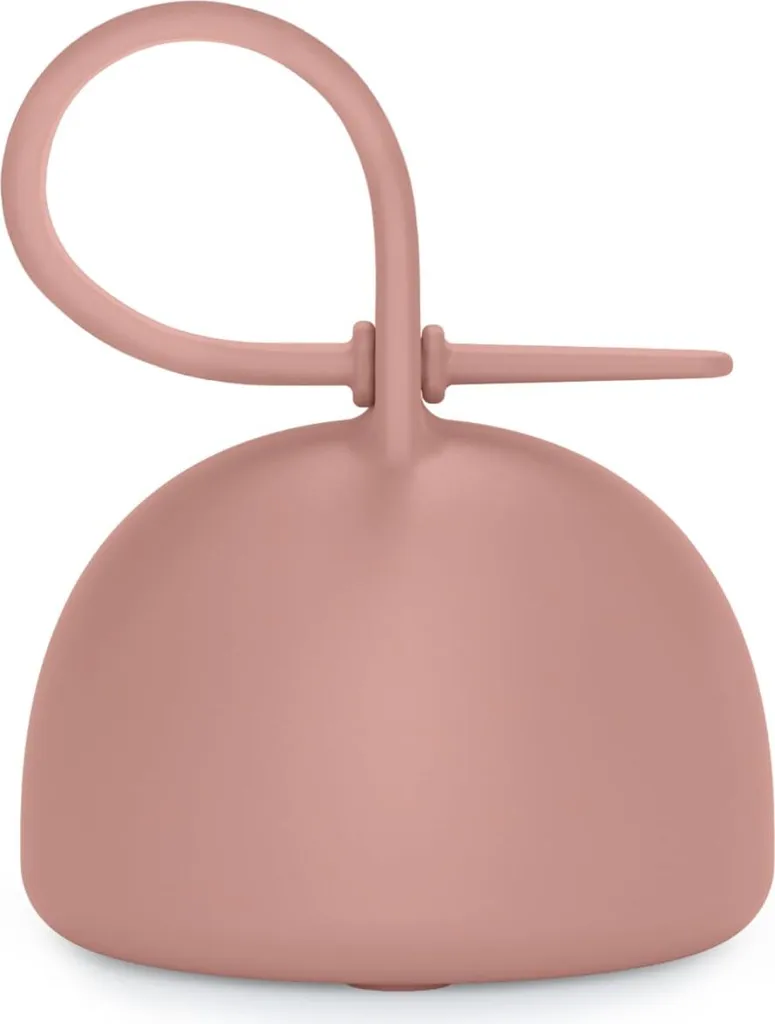 Suavinex Attache-Tétine Silicone Nude Colour Essence pour 2 Sucettes