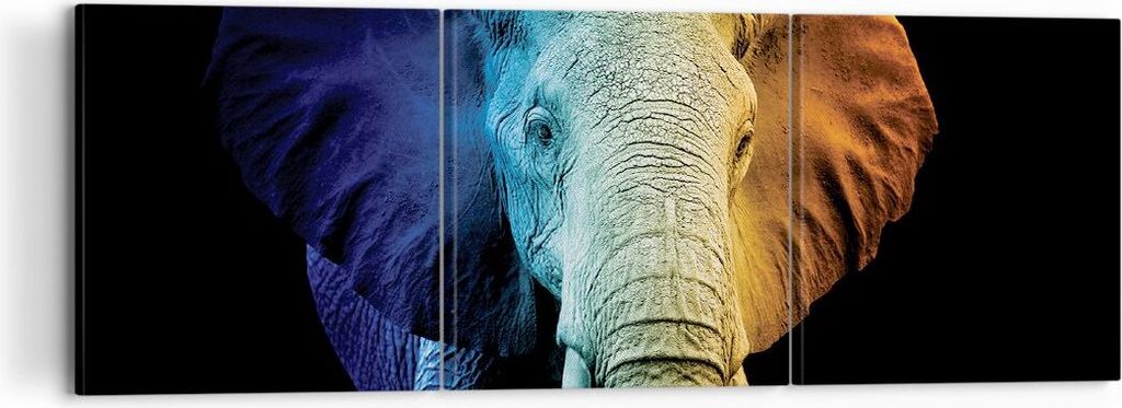 Bild auf Leinwand - Leinwandbild - 3 Teile - Bunt Elefant Fotografie - 120x40cm - Wand Bild - Wanddeko - Wandbilder - Leinwanddruck - Bilder - Wand...
