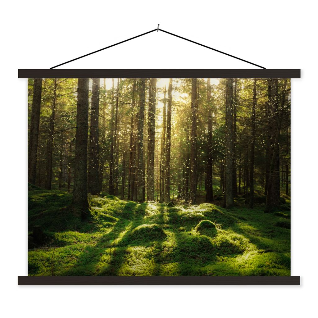MuchoWow Textilposter Bäume - Wald - Moos - Pflanzen - Sonne - Natur 120x90 cm mit schwarzem Rahmen - Aufhänger für Poster