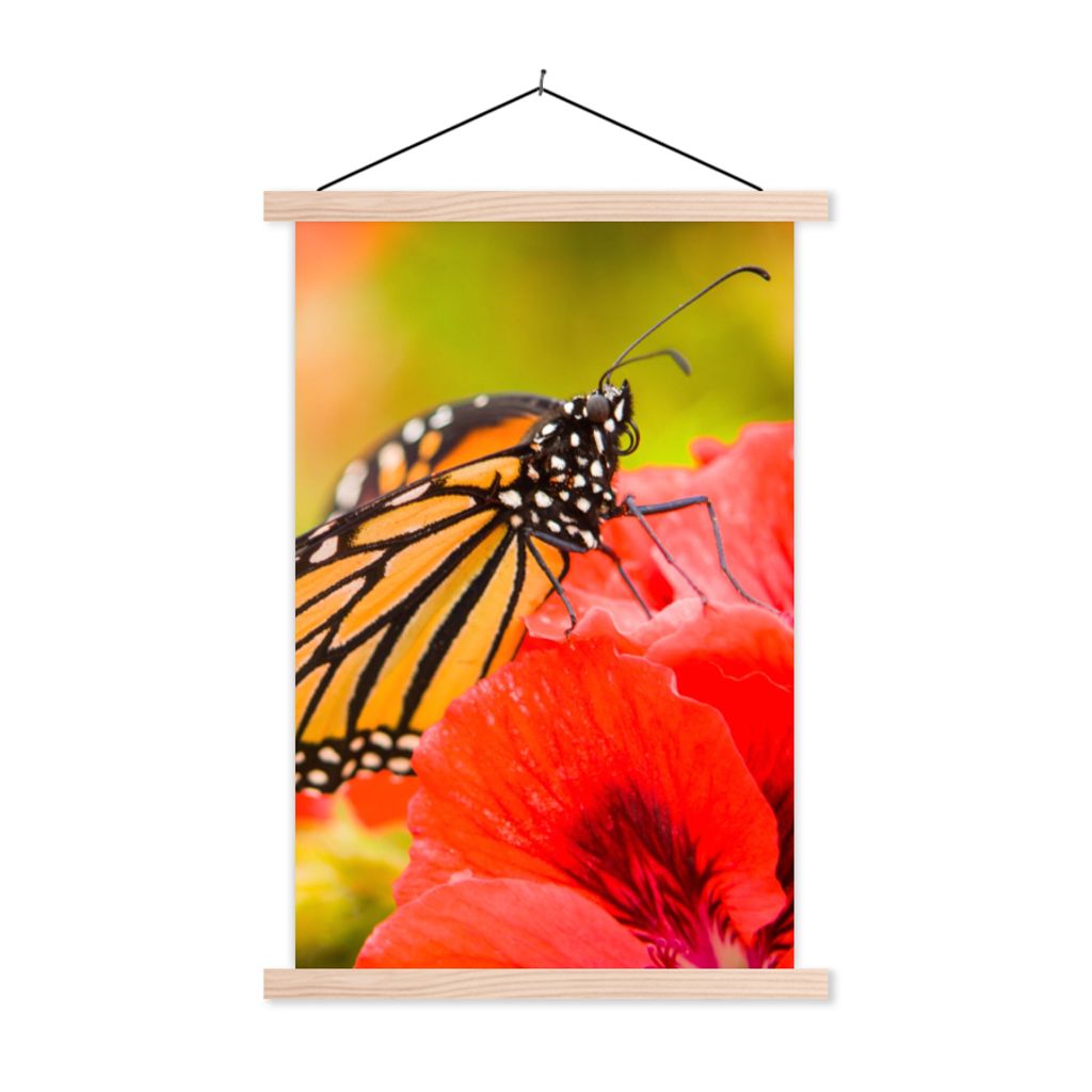 MuchoWow Textilposter Blumen - Schmetterlinge - Monarch 60x90 cm mit holzfarbenen Rahmen - Textil