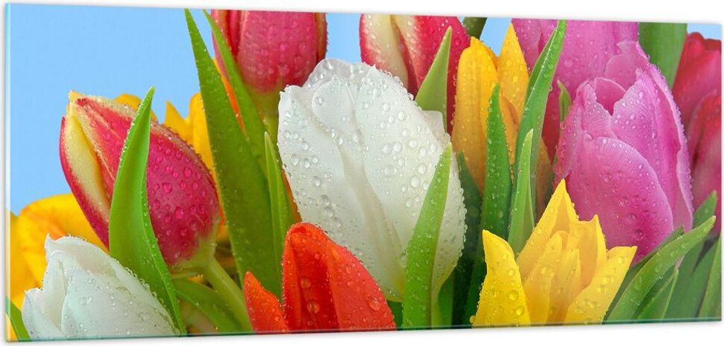 Bilder auf glas - Tulpen Blumenstrauß Blumen Tau - 100x40cm Produktbild 
