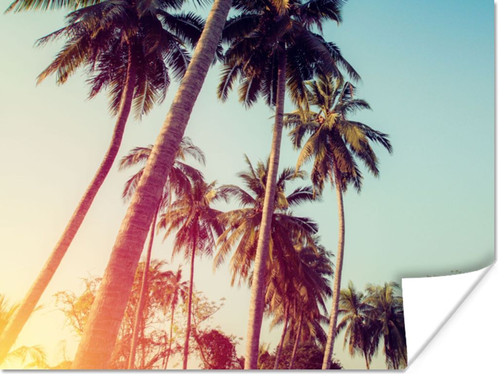 MuchoWow Poster Palme - Sommer - Retro - Sonne 40x30 cm - Plakate für die Wände - Poster Wohnzimmer