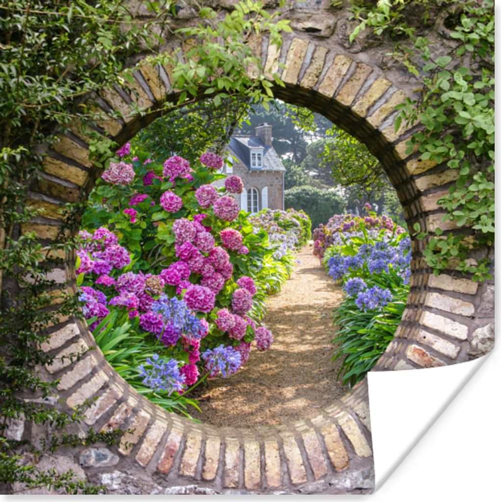 MuchoWow Poster Transparent - Blumen - Hortensie - Sommer 50x50 cm - Wohnzimmerdekoration