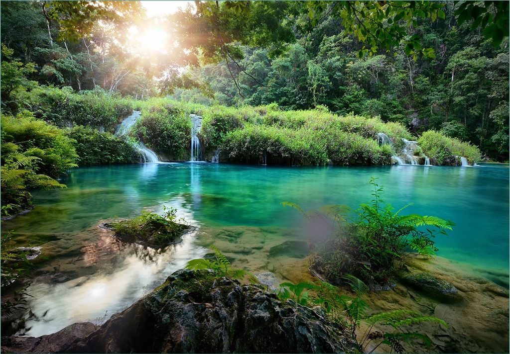 Wallario Fototapete Vliestapete, seidenmatte Oberfläche, einfache Verarbeitung, Größe 400 x 280 cm, Motiv Türkisgrüner See im Nationalpark in ...