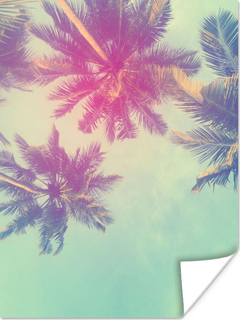 MuchoWow Poster Palmen - Palmenblätter - Sommer - Tropisch 120x160 cm - Wandbilder