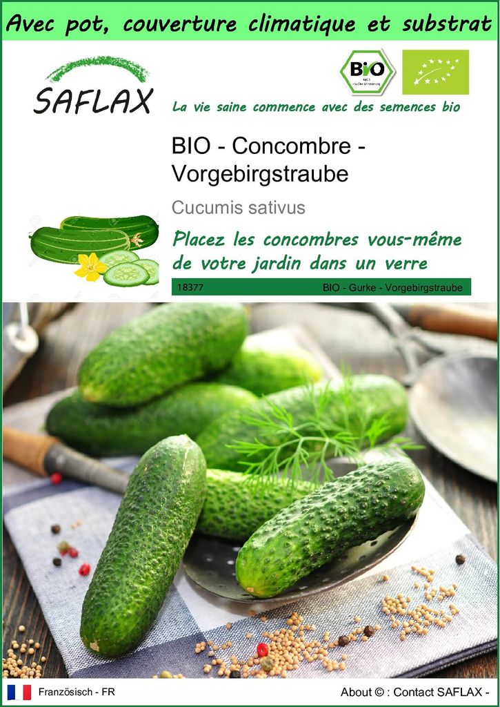 SAFLAX Garden to go -- Concombre - Vorgebirgstraube  - 15 Image du produit 