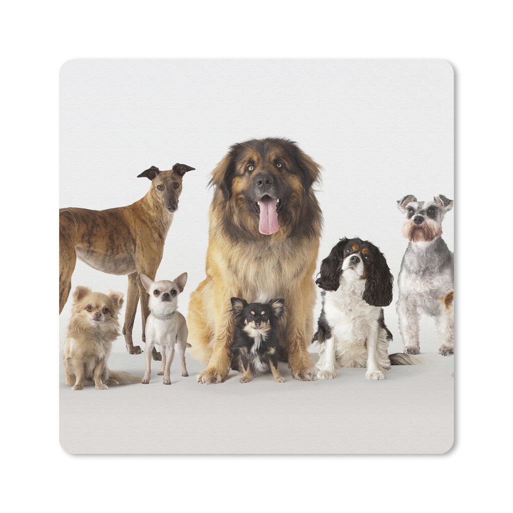 MuchoWow Mauspad Mousepad Gruppenbild von Hunden 20x20 cm - Mousepads - Maus Mat - Pad - Mausunterlage - Desk Mat - Bureauartikeln