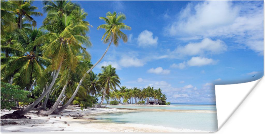 MuchoWow Poster Meer - Sonne - Palmen 80x40 cm - Wanddeko