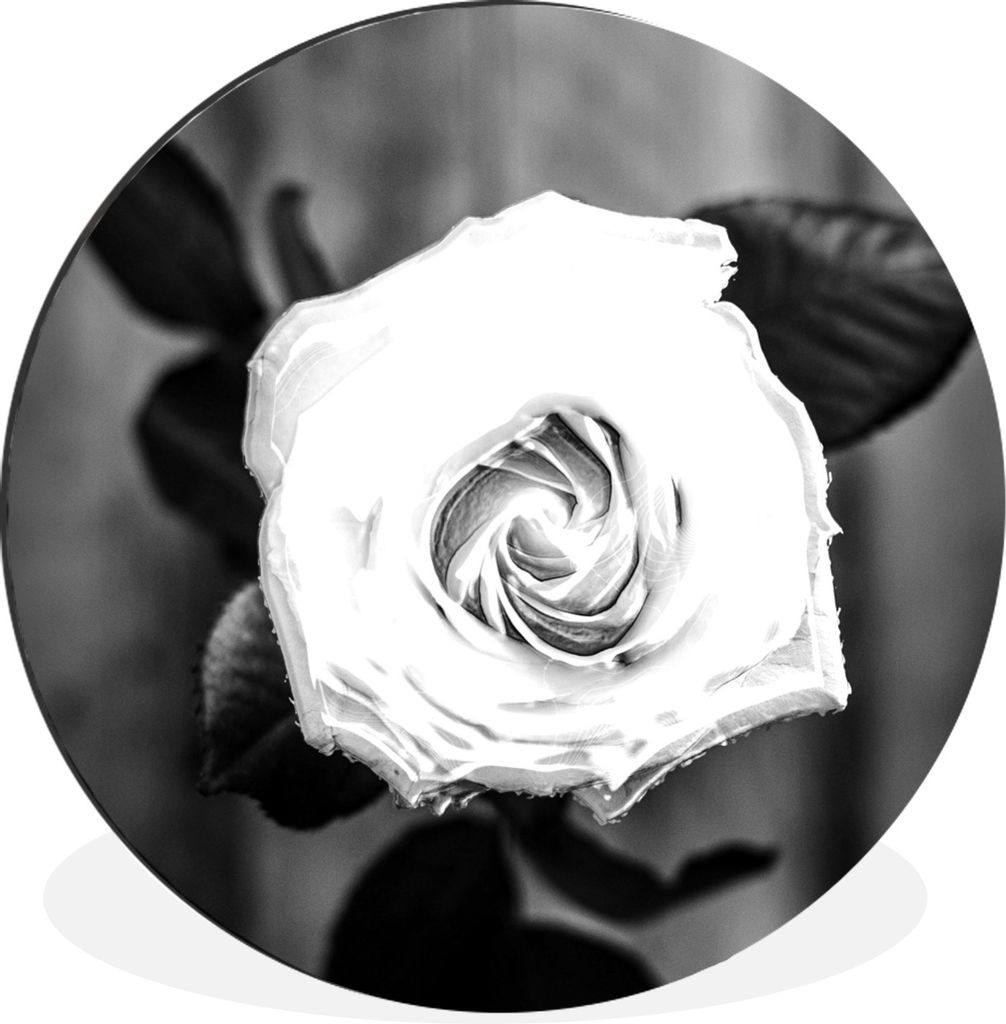 MuchoWow Aluminium Wandkreis Rose - Blumen - Blätter - Schwarz - Weiß Ø 90 cm Wanddeko Modern Wohnzimmer - Mauerkreis - Wandbilder - Runde Bil...