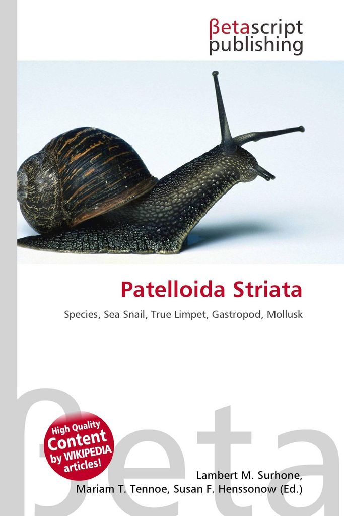 Patelloida Striata