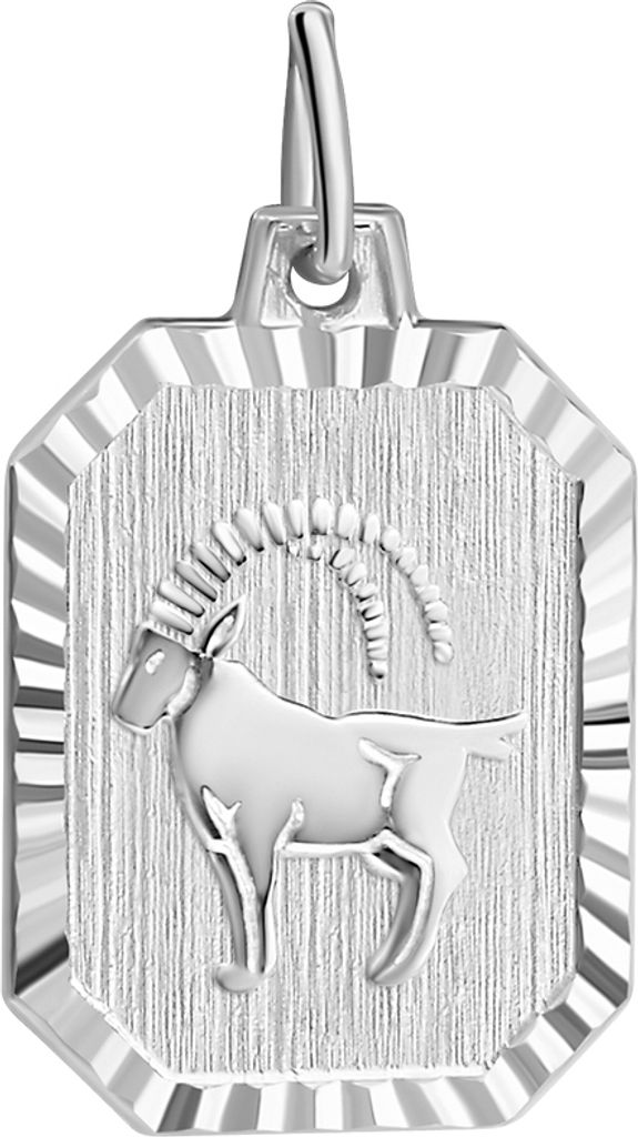 V Anhänger Sternzeichen Steinbock 925/- Sterling Silber 2,2cm weiß 203240121SB