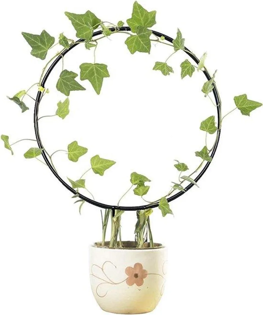 Tuteur colonne décoratif pour rosiers et plantes grimpantes de jardin