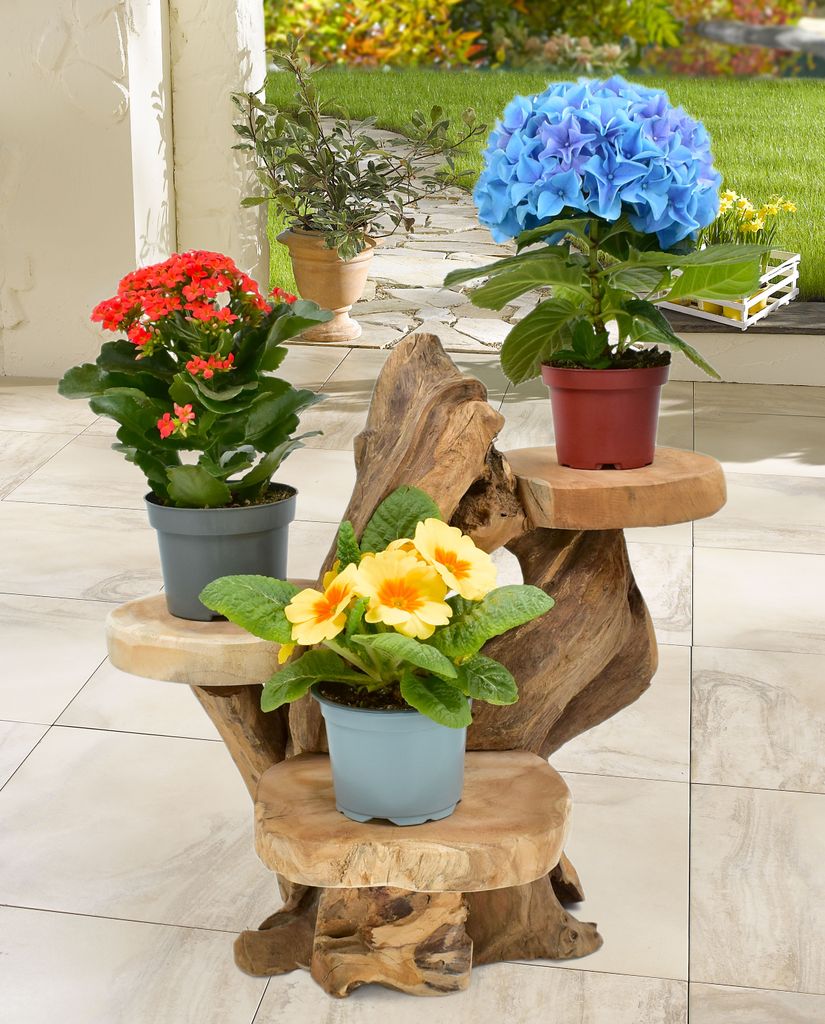 Teak Blumenständer Blumenpodest Pflanzentreppe Ständer Produktbild 8