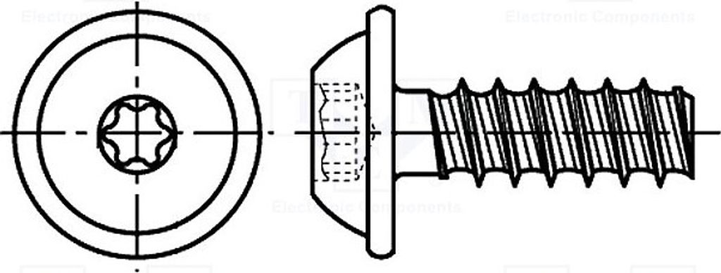100x Schraube 3x6 Kopf: Kugelkopf Torx für Kuntoff Zink 3205501 Schrauben