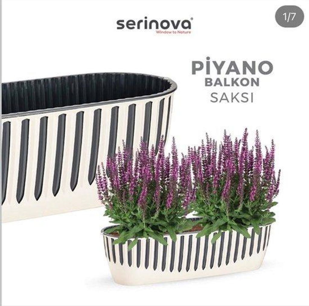 2er Set Piano Blumenkübel crème antrazit 8L Serinova Fensterbank Balkonpflanzen 51cm UV-beständig