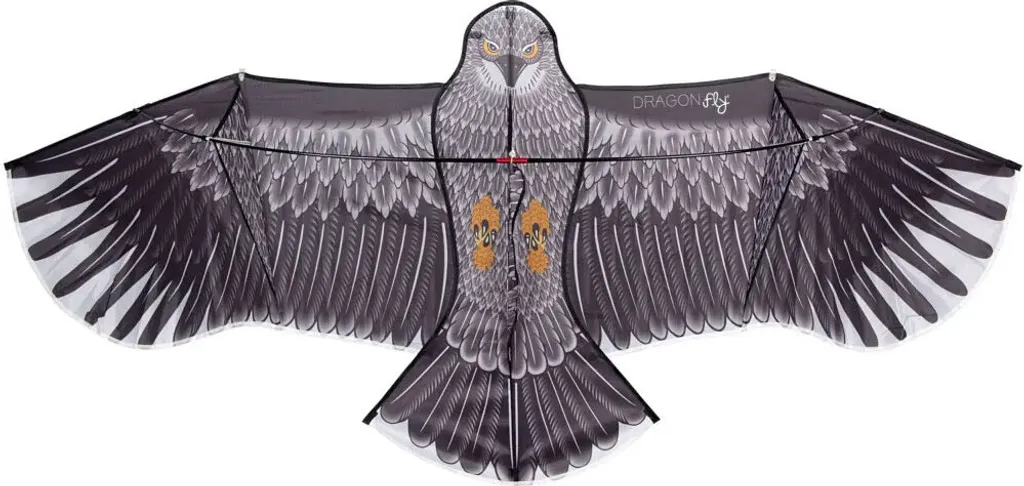 Cerf-volant Eagle 180cm, Aigle Géant Monofil en Nylon pour Plage