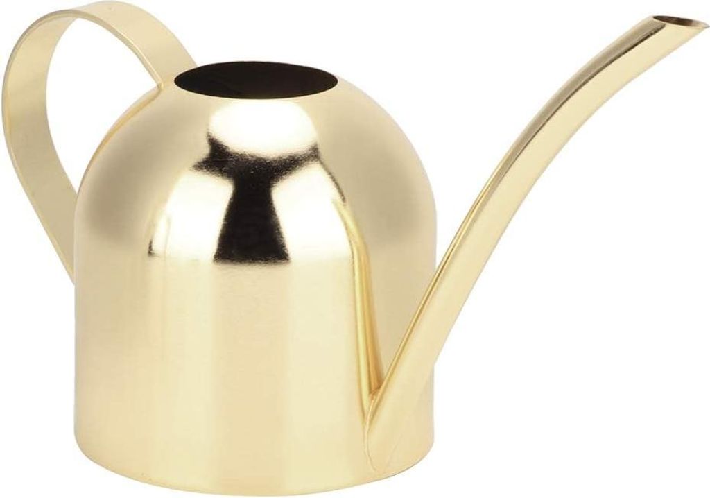 500 ml Edelstahl Gießkanne mit langem Auslauf für drinnen und draußen - modernes Design zum Gießen von Blumen und Pflanzen