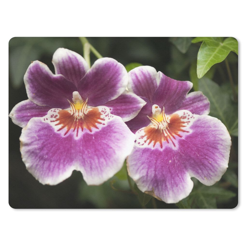 MuchoWow Mauspad Mousepad Wilde Orchidee 23x19 cm - Mousepads - Maus Mat - Pad - Mausunterlage - Schreibtischunterlage - Mauspad