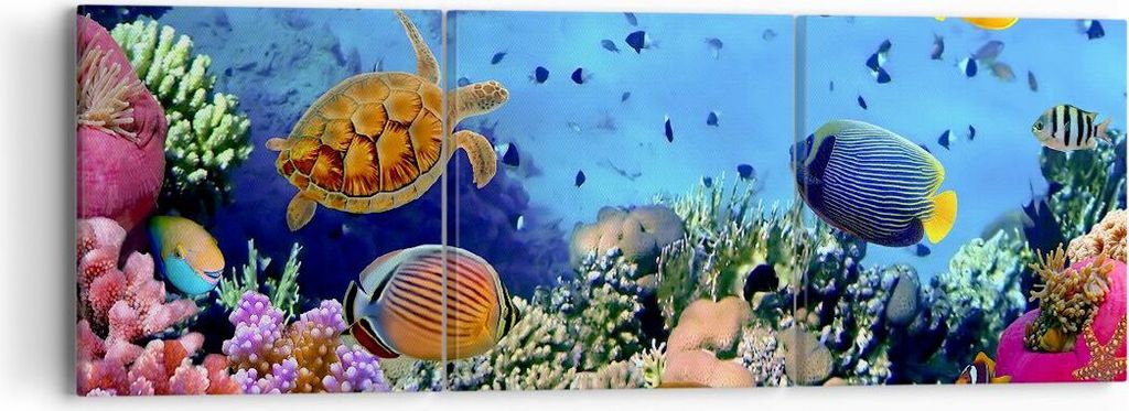 Bild auf Leinwand - Leinwandbild - Korallenriff - 90x30cm - Wand Bild - Wanddeko - Wandbilder - Leinwanddruck - Bilder - Kunstdruck - Wanddekoratio...