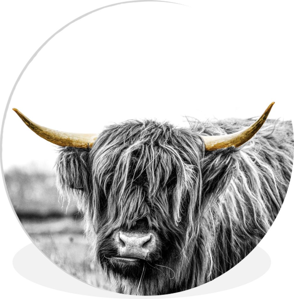 MuchoWow Rundes Wandbild - Runde Bilder Schottische Highlander - Natur - Goldene Hörner Ø 30 cm Kreis Wanddekoration Kunststoff - Wandkreis - W...