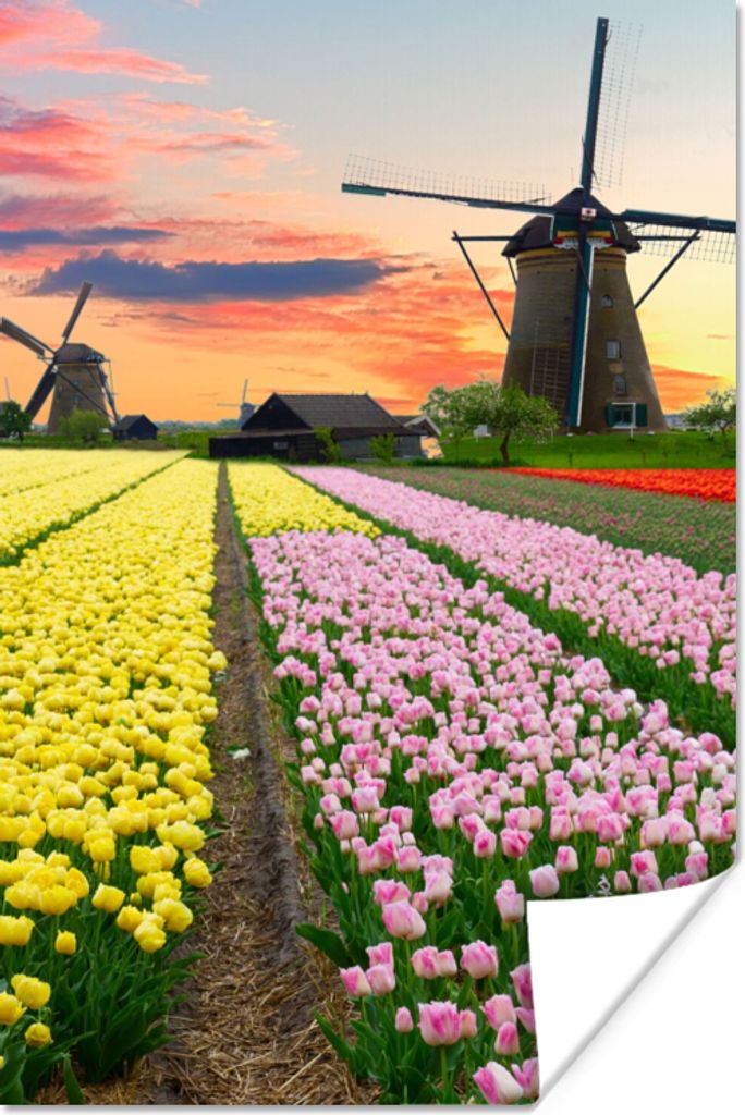 MuchoWow Poster Windmühle - Tulpen - Blumen - Niederlande 40x60 cm - Plakate für die Wand - Poster Babyzimmer
