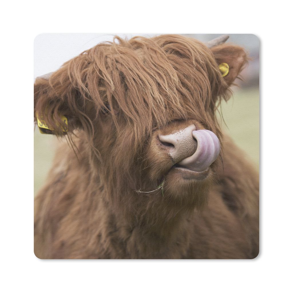 MuchoWow Mauspad Mousepad Schottischer Highlander - Braun - Kuh 30x30 cm - Mousepads - Maus Mat - Pad - Mausunterlage - Gaming
