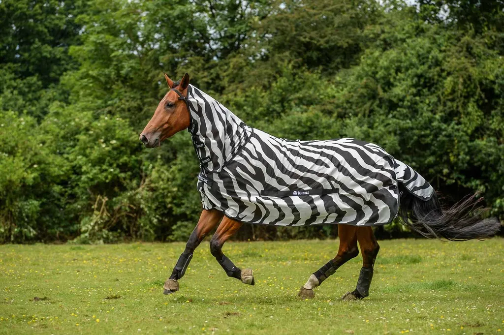 Benessere Cavallo: Coperta Bucas Buzz-Off Zebra 155 Full Neck - 3