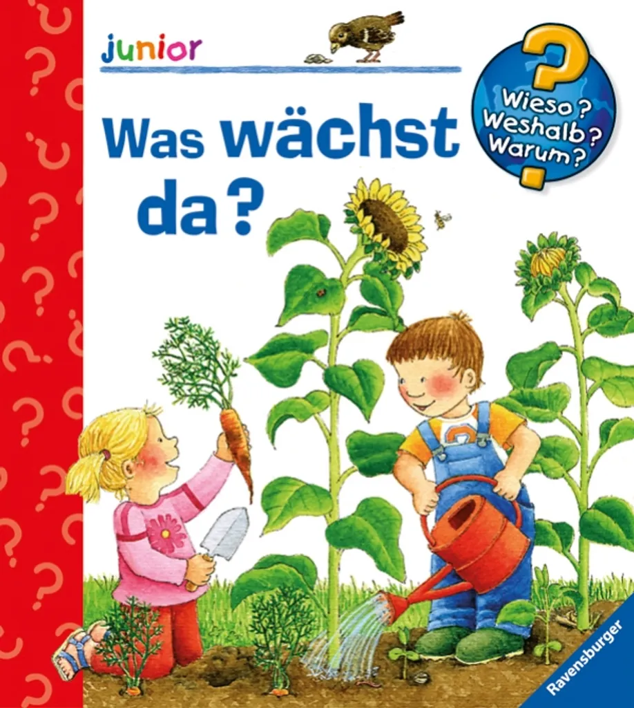 Was wächst da ? Activité nature pour occuper les enfants en extérieur