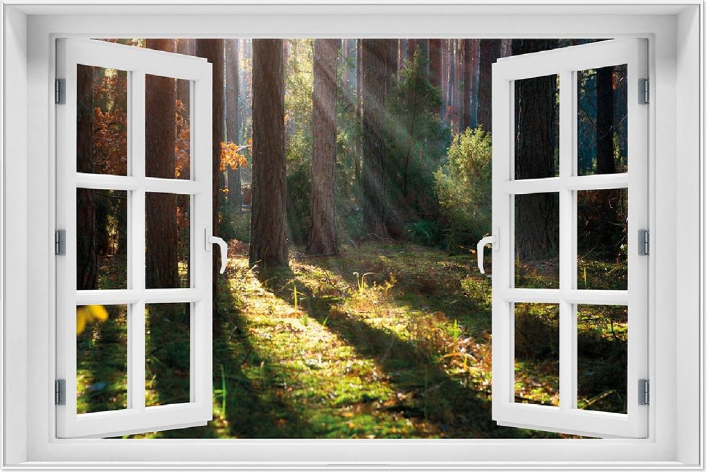 Wallario Wandbild mit Fenster-Illusion: Sonnenstrahlen im Produktbild 