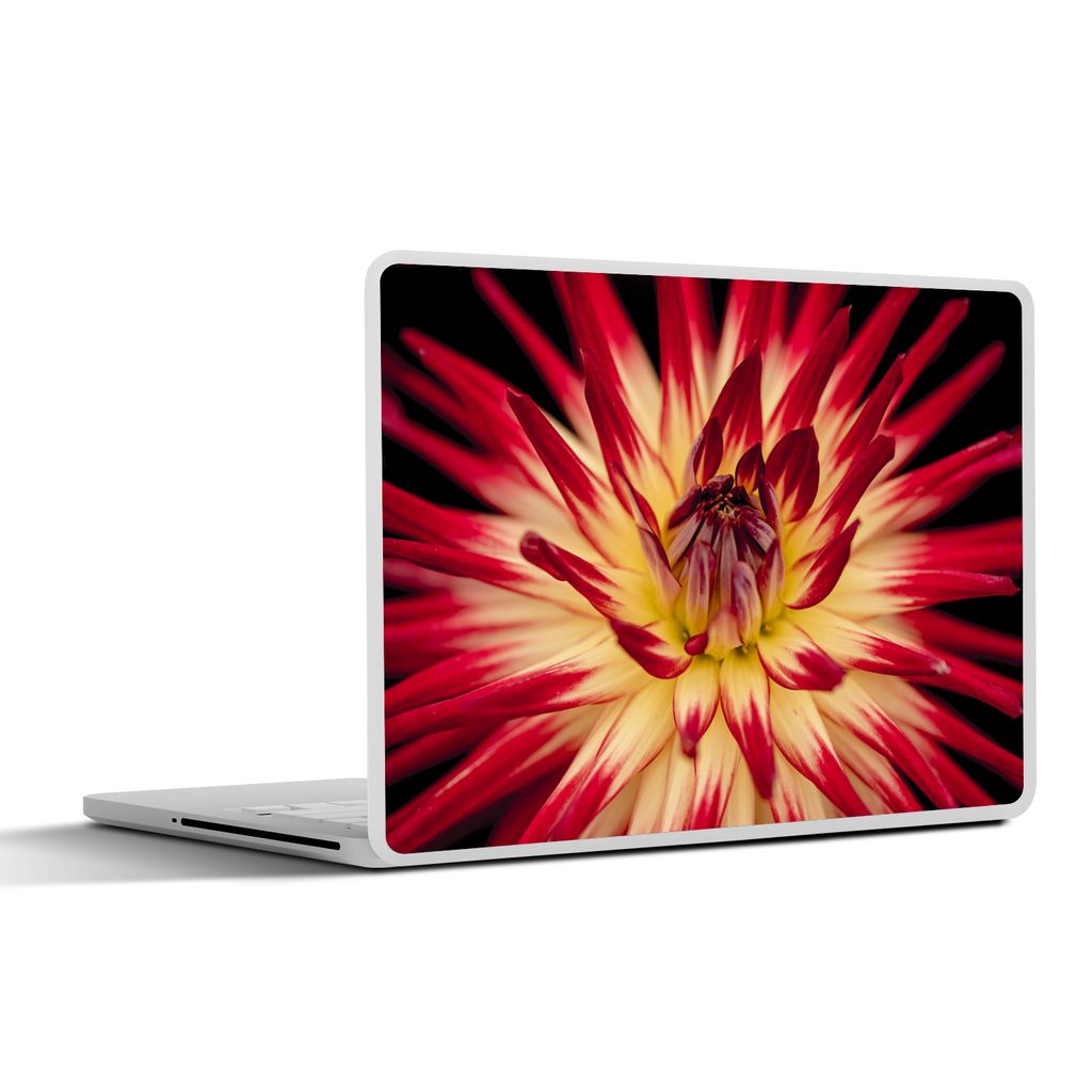 MuchoWow Laptop Aufkleber Sticker Cover Blumen - Natur - Makro 30x21 cm - Sticker für Laptop - Selbstklebend