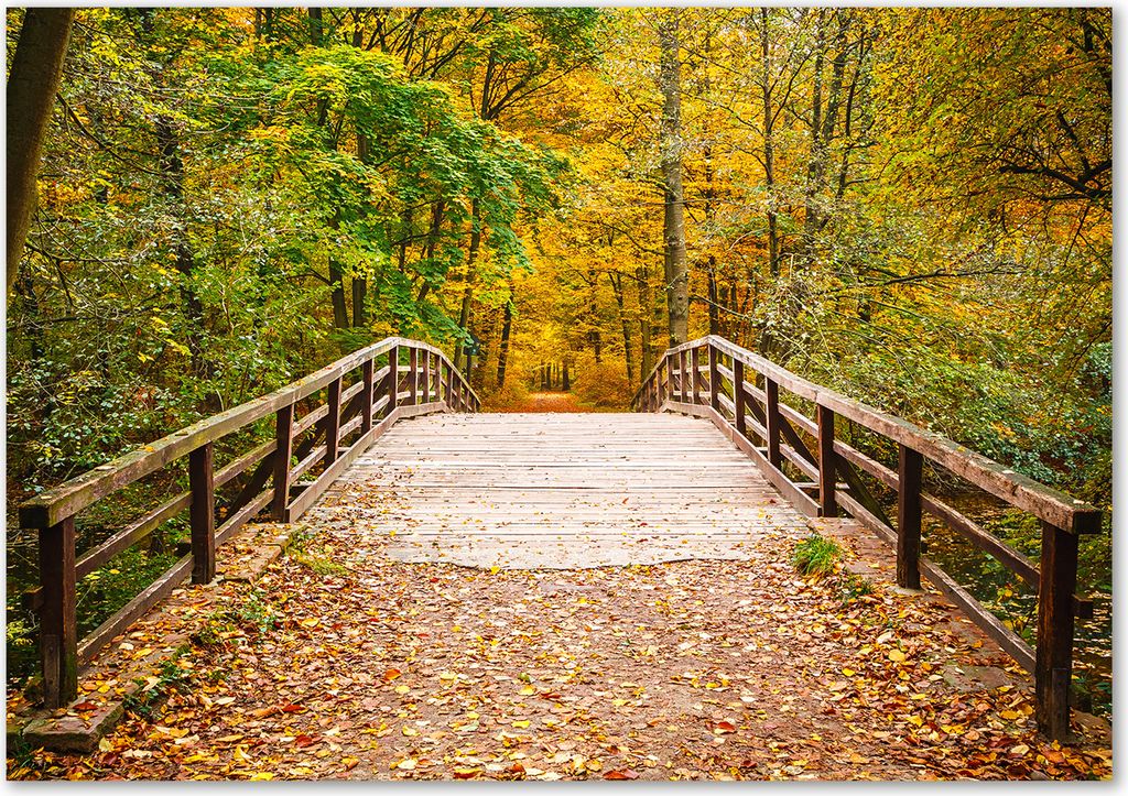 Tulup Leinwandbild - 100x70 cm - Wandkunst - Drucke auf Leinwand - Leinwanddruck - Landschaften - Gelb - Brücke Herbstwald
