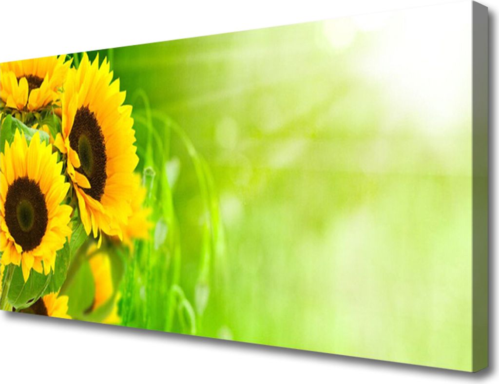 Tulup Leinwand-Bilder 100x50 Wandbild Canvas Kunstdruck Sonnenblumen Pflanzen