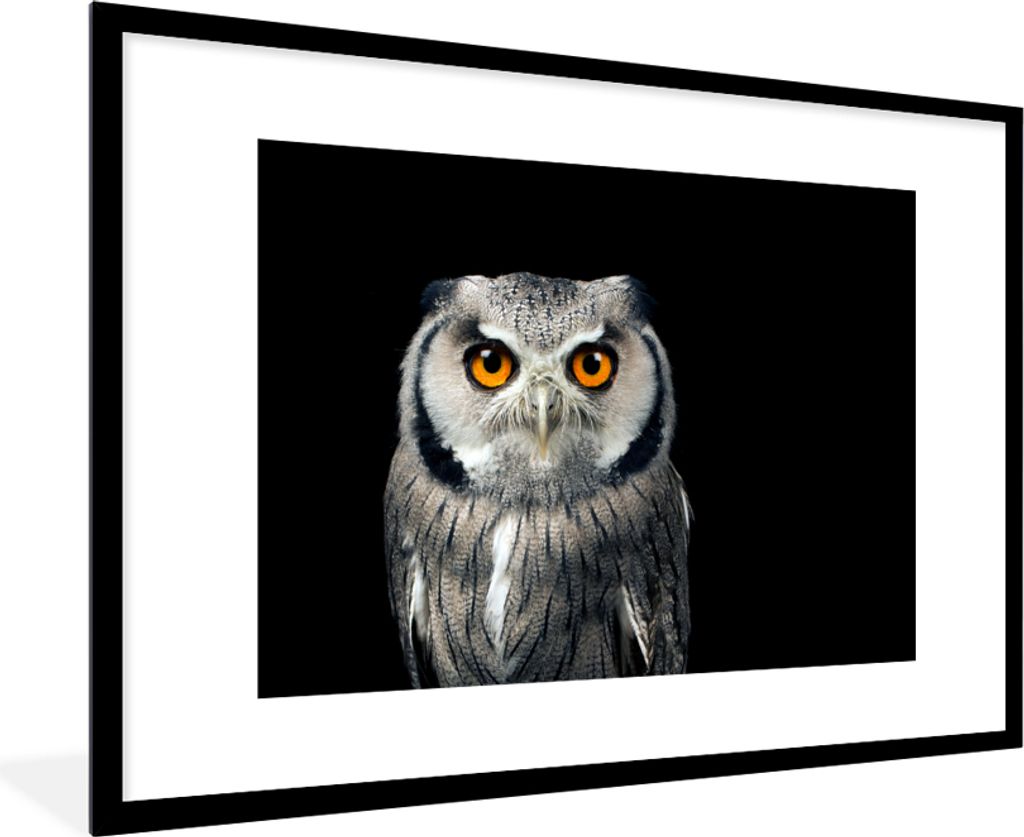 MuchoWow Gerahmtes Poster Eule - Vogel - Orange - Schwarz 90x60 cm - Poster mit Schwarzem Bilderrahmen Wandposter Rahmen Foto Bilder - Wanddekora...