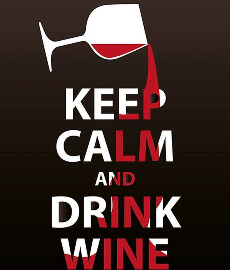 vianmo Holzschild 18x12 cm Keep Calm and drink wine Geschenk