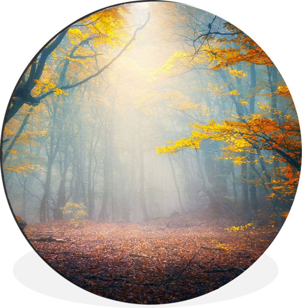 MuchoWow Aluminium Wandkreis Wald - Nebel - Herbst Ø 30 cm Wanddeko Modern Wohnzimmer - Wand Bild - Wohnzimmer - Runde Bilder - Alubilder - Kuns...