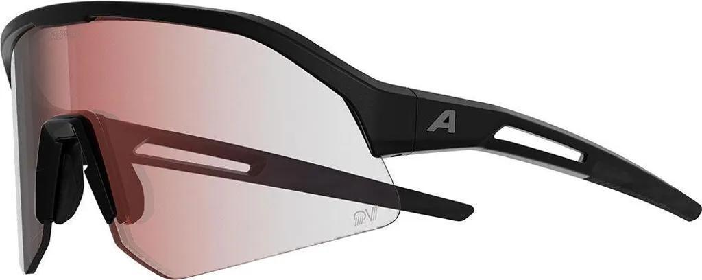 Alpina Sonic HR M QV Lunettes de sport contre l'éblouissement et la buée