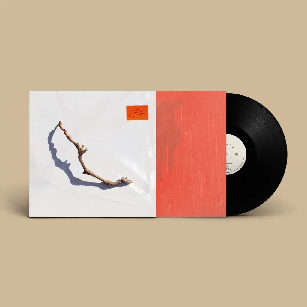 Edition Collector PJ Harvey I Inside the Old Year Dying - Son Premium