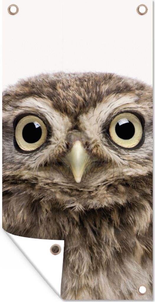 MuchoWow 80x160 cm Outdoor-Poster Gartendeko Sichtschutz Garten Poster für den Garten Eule - Eule - Porträt - Braun - Vogel - Jungen - Mädchen
