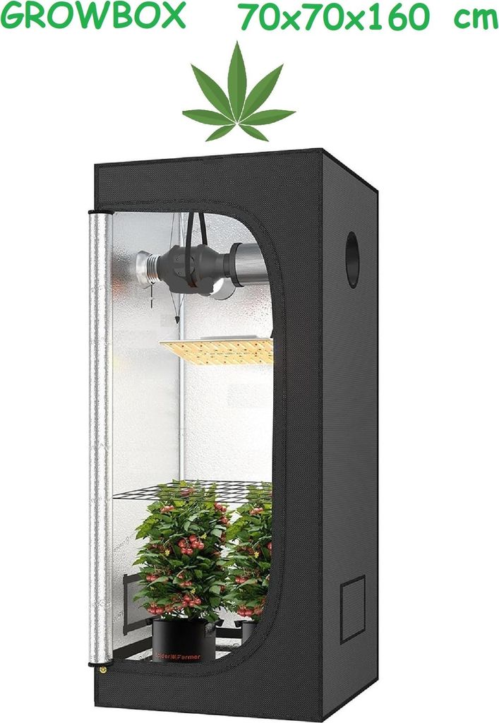 JUNG Growbox Growzelt Indoor 70x70x160cm Premium Mylar 97% reflektierend, Hydroponisches System, Gewächshaus Cannabis Balkon, Wasserdicht, Grow Tent