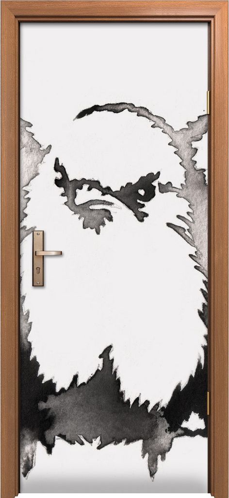 Türposter 80x200 cm Türaufkleber Türtapete Türfolie Klebefolie Tiere Tinte Chinesische Vögel