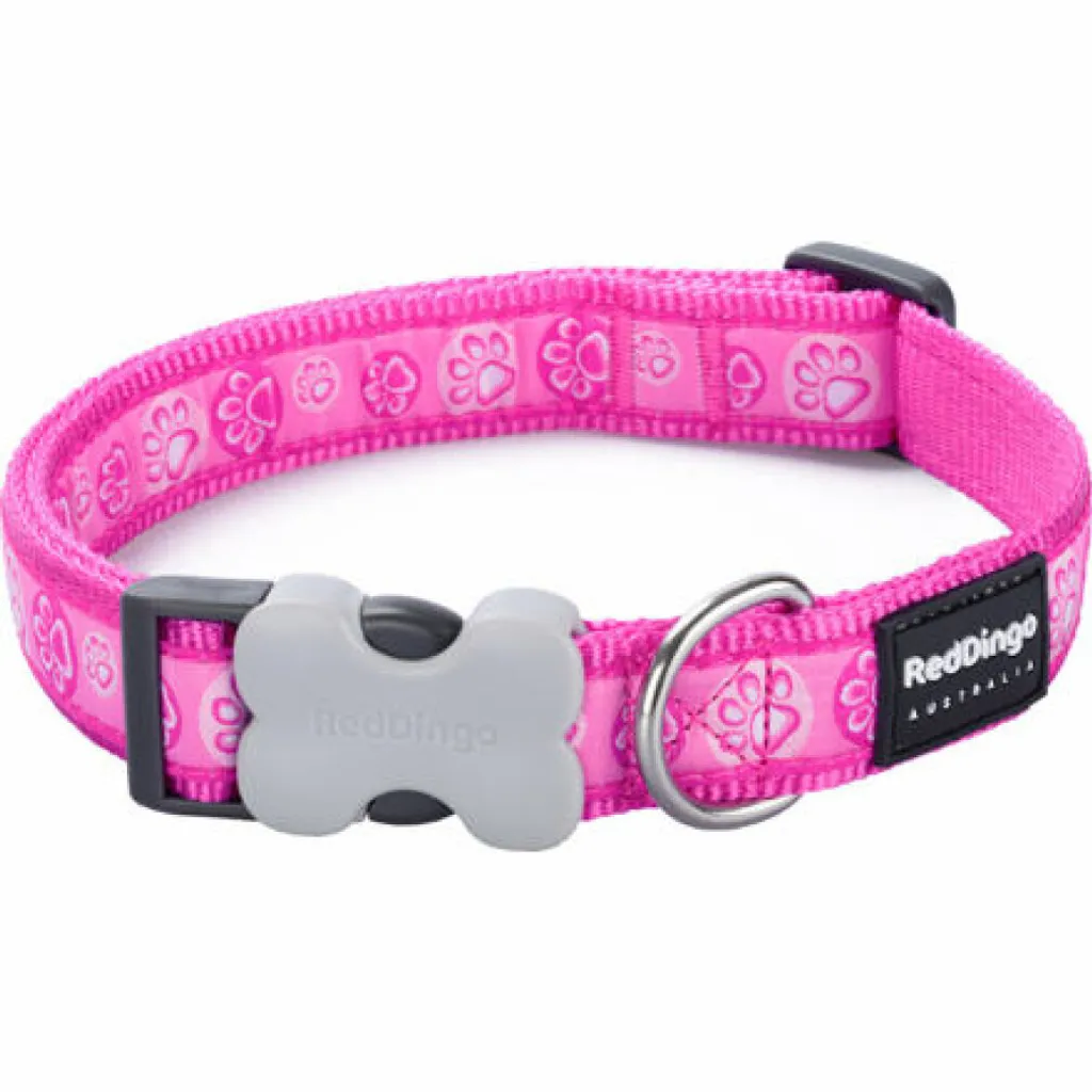 Guida all'acquisto: Collare Red Dingo Hot Pink 20mm 30-47cm