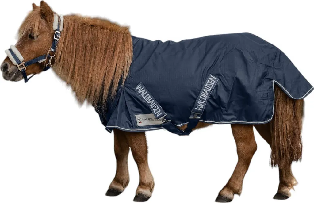 Couverture imperméable pour poney Shetty Waldhausen matelassée 100g