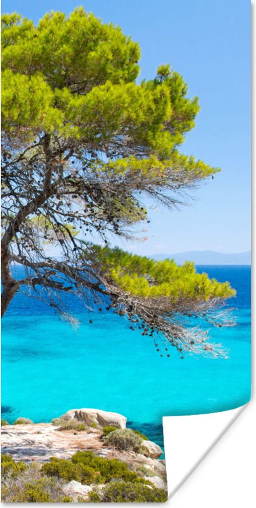 MuchoWow Poster Baum - Meer - Tropisch - Sommer 75x150 cm - Dekoration für die Wände