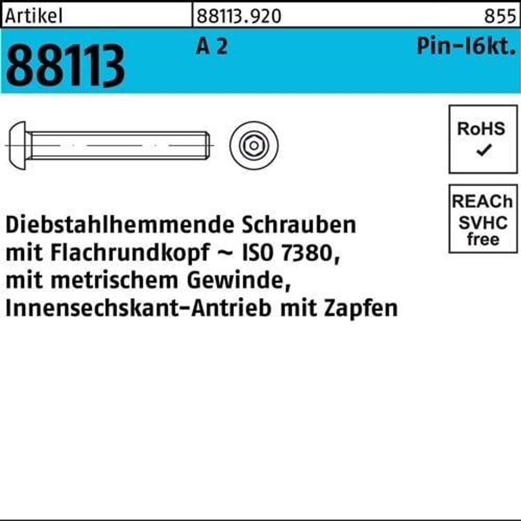Reyher Sicherh.schr.(I7380) 88113, A2 M10x60, A 2 (100 Stück)