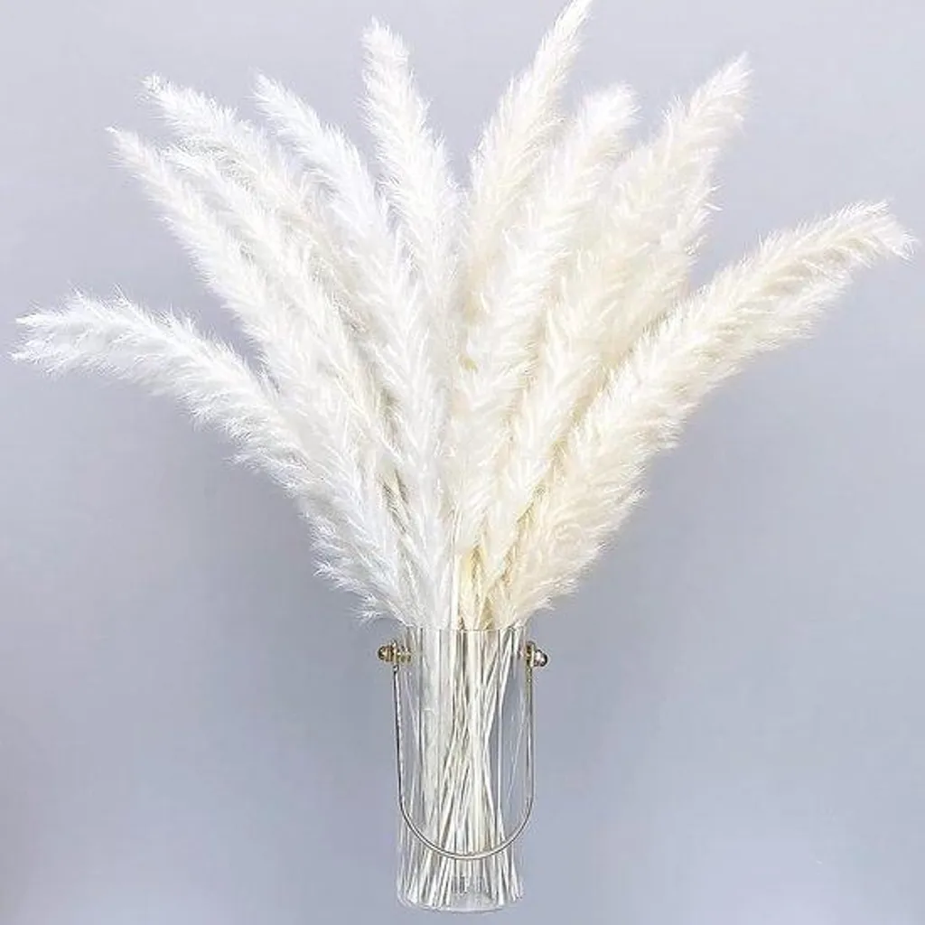 Décoration bohème herbe de la pampa blanche 40 cm - Bouquet 30 tiges