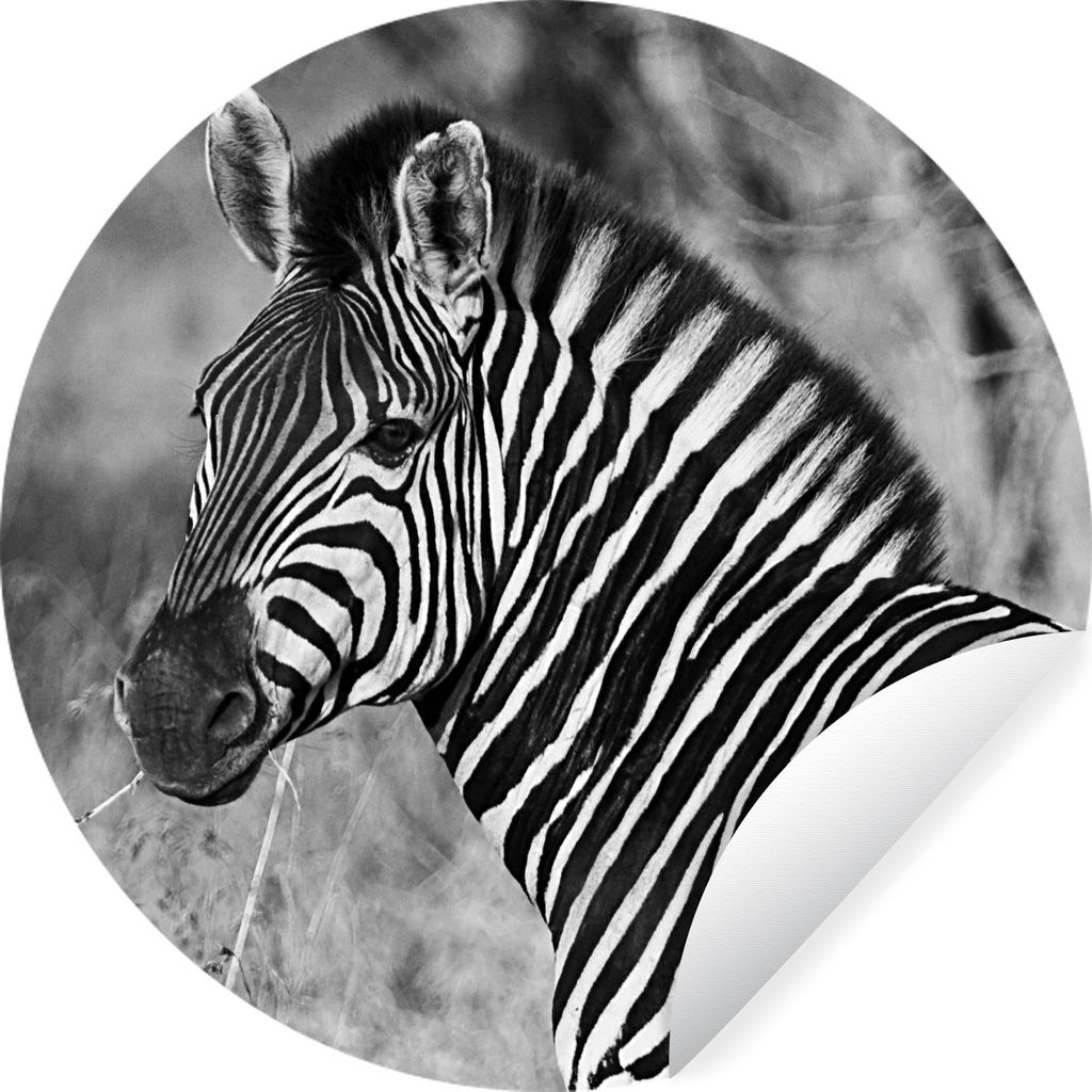 MuchoWow Runde Wandtattoo - Wandsticker Tapete Aufkleber Zebra-Porträt Ø 30 cm Selbstklebend und Repositionierbar - Wandaufkleber - Kreis - Wan...