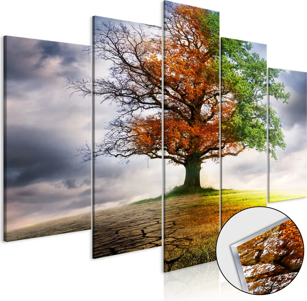 Tableau en verre acrylique : Décoration murale sans reflet gênant