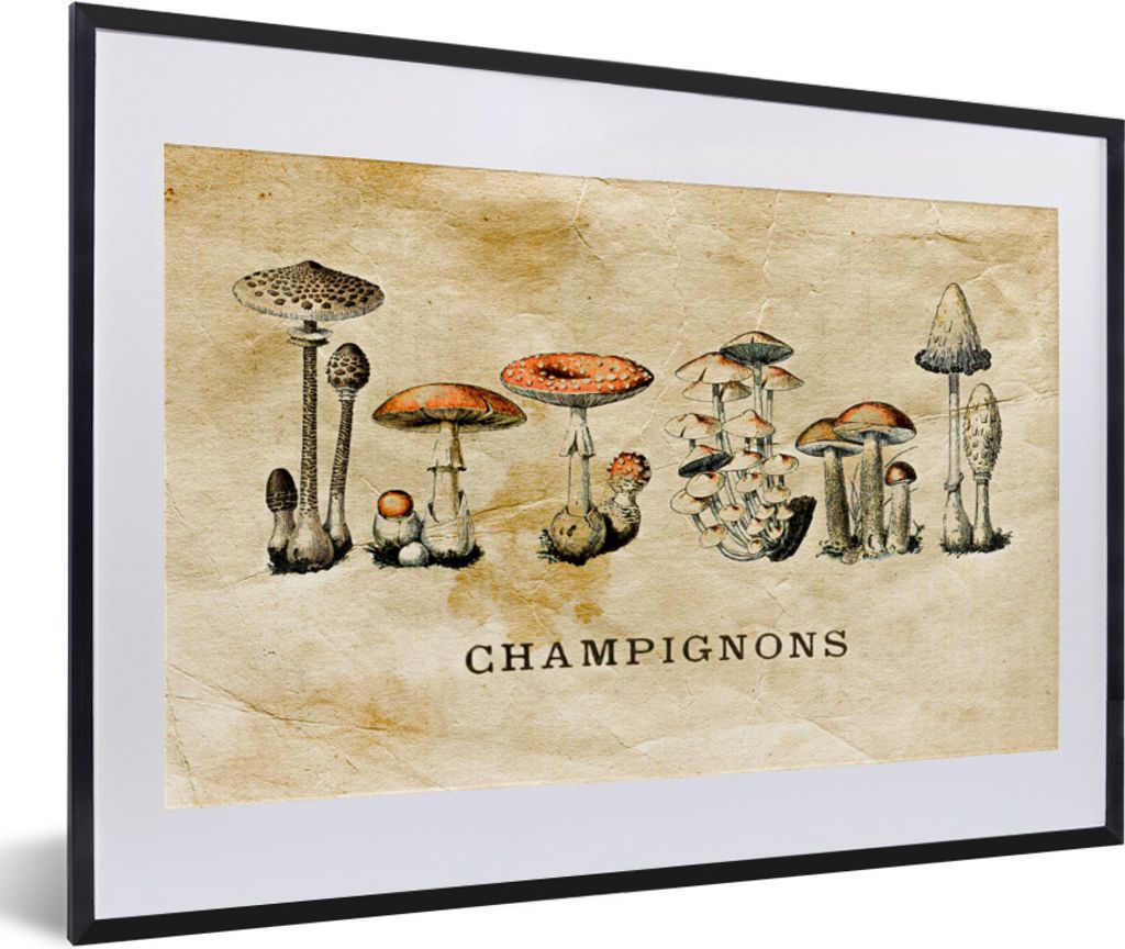 MuchoWow Gerahmtes Poster Pilz - Herbst - Vintage 60x40 cm - Poster mit Schwarzem Bilderrahmen Wandposter Rahmen Foto Bilder - Schlafzimmer - Pla...