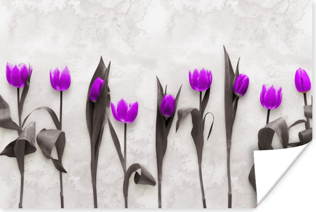 MuchoWow Poster Blumen - Tulpen - Lila 60x40 cm - Schlafzimmerdekoration