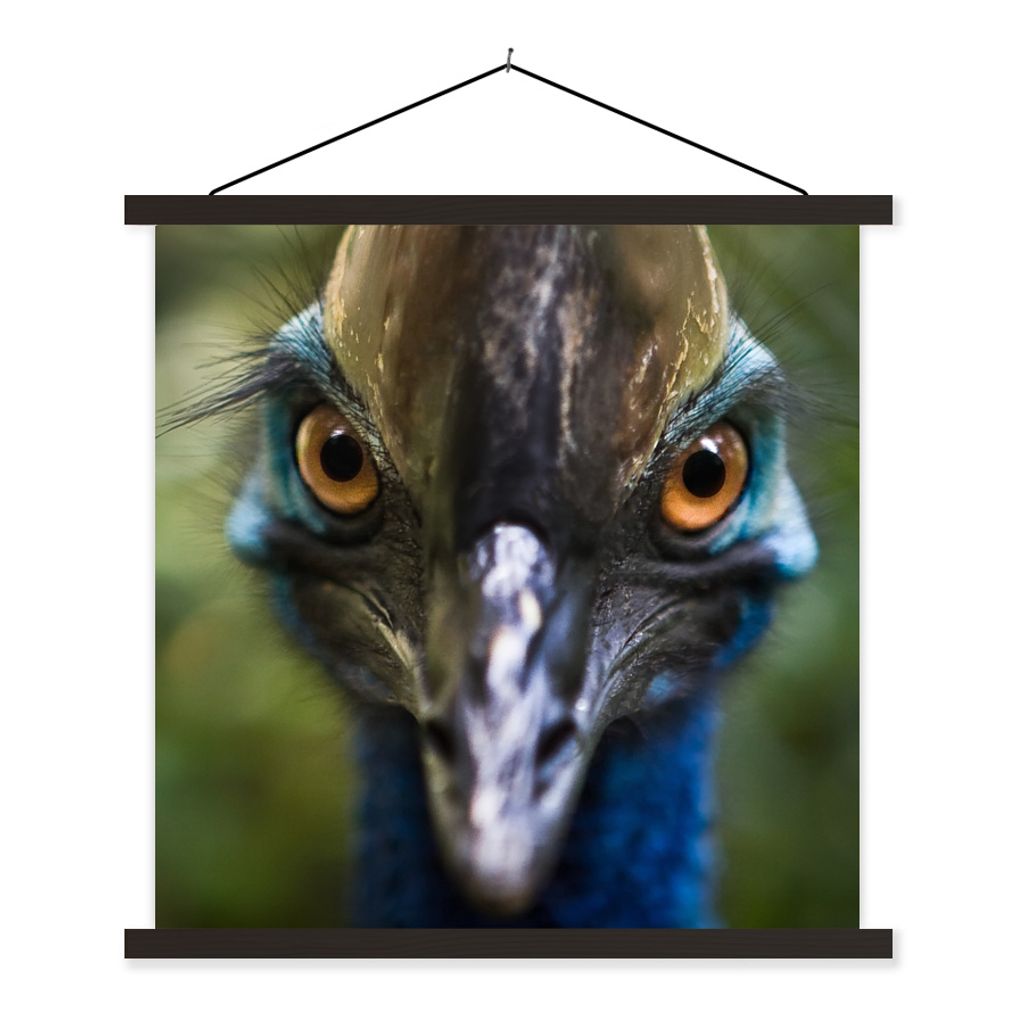 MuchoWow Textilposter Nahaufnahme eines Kasuars 60x60 cm mit schwarzem Rahmen - Posteraufhänger